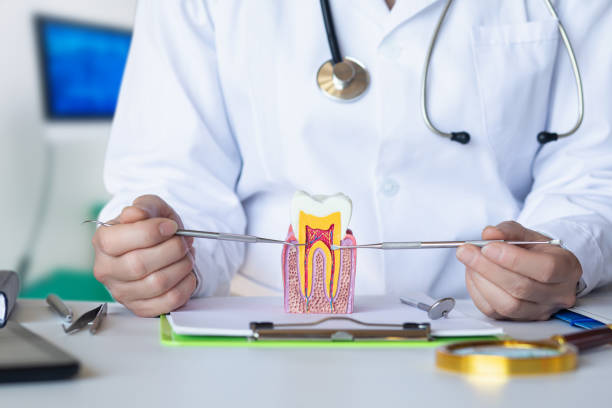 Best Emergency Tooth Extraction in Normal, IL